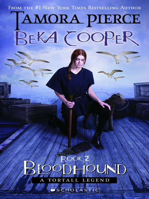 Cover image for Bloodhound